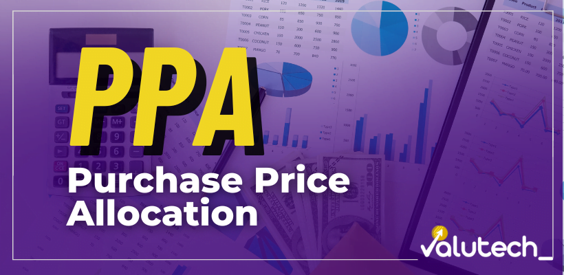 PPA purchase price allocation cálculo